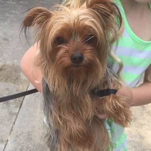 Meet your Posher, Jennifer